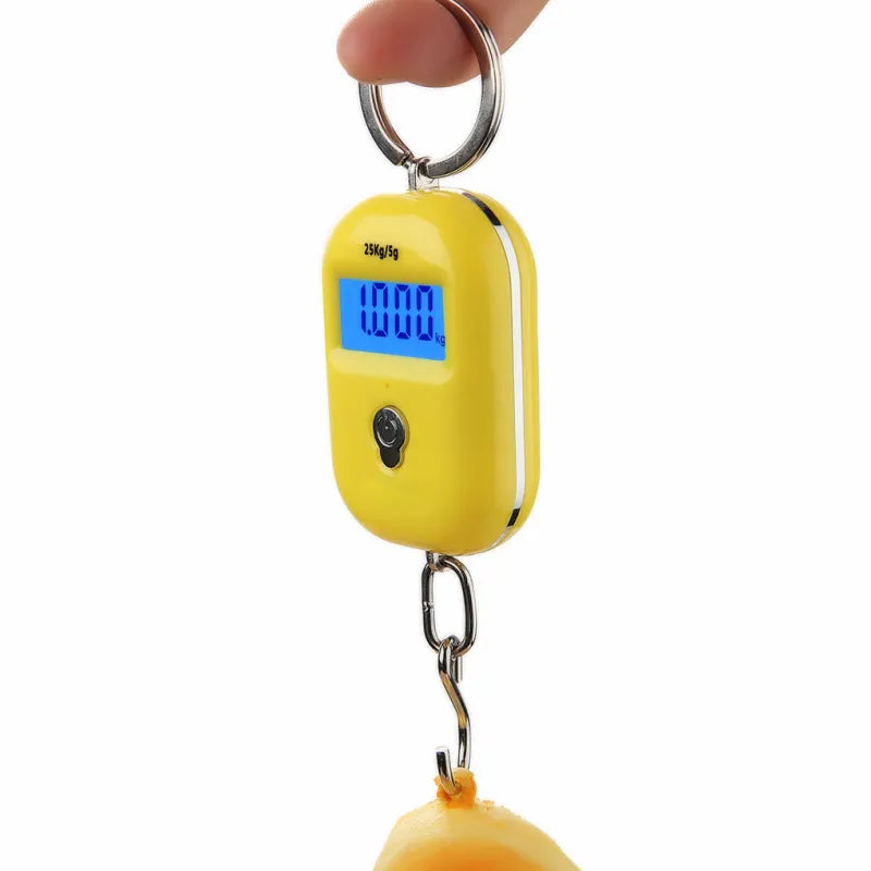 High Precision Portable Electronic Scale