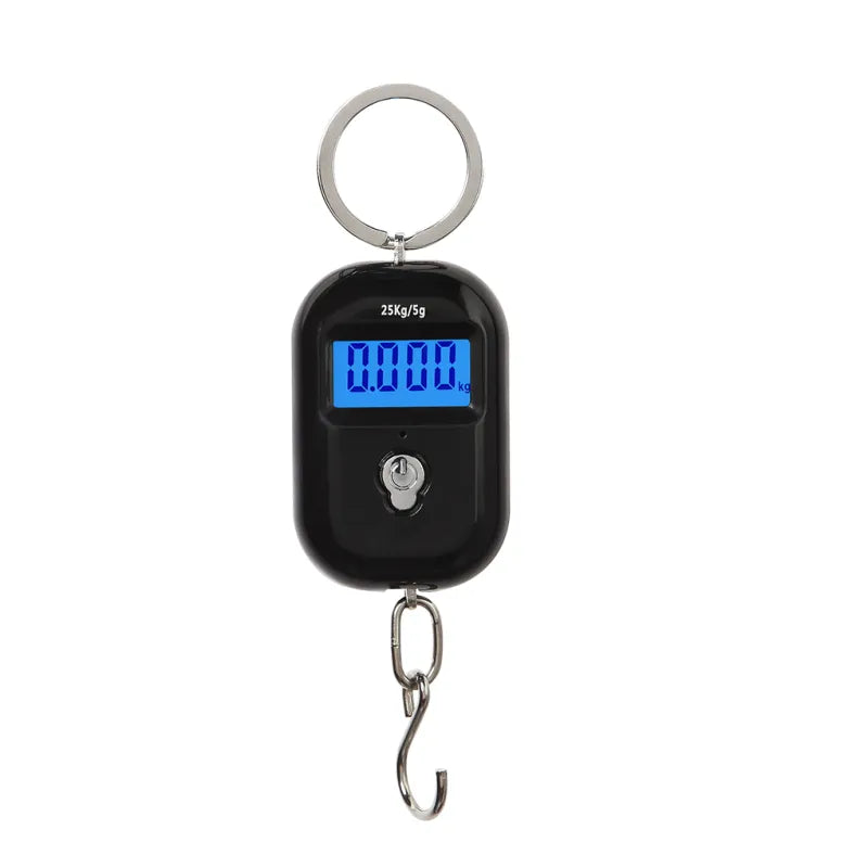 High Precision Portable Electronic Scale