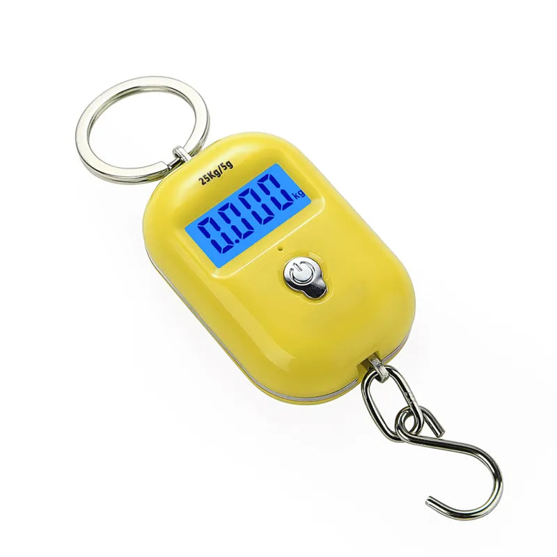 High Precision Portable Electronic Scale